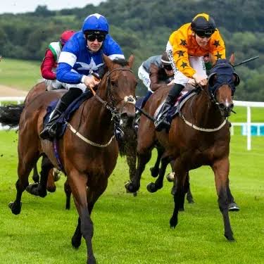 Jockeys competing in a close horse race